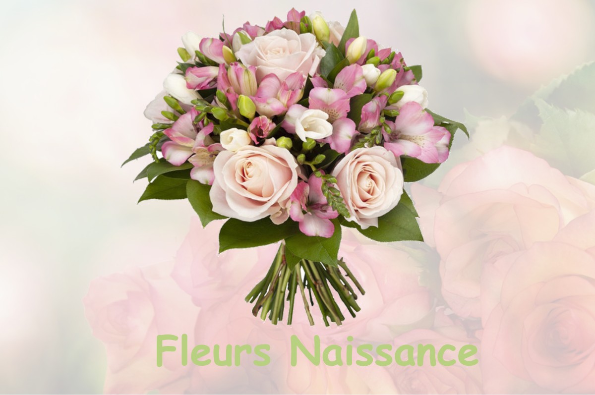 fleurs naissance SAVAS-MEPIN